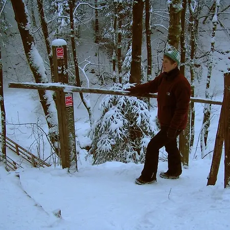 Bed and breakfast Isidorus