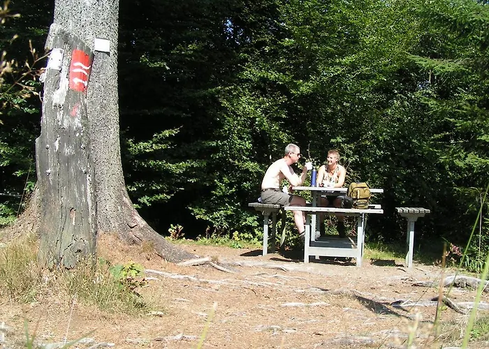 Готель типу 