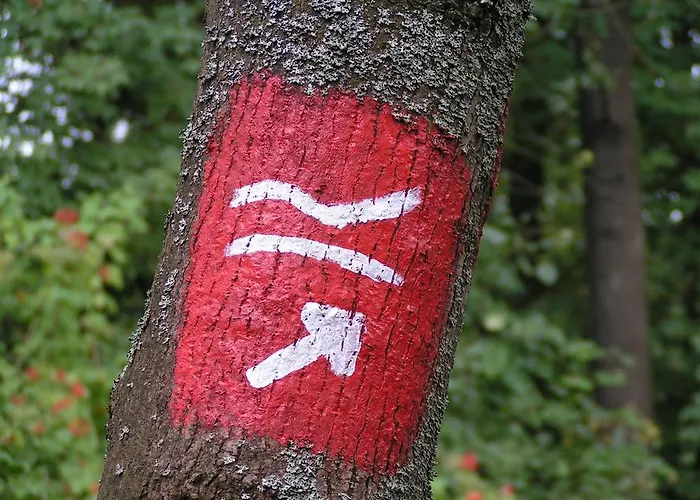 Isidorus Вінтерберг