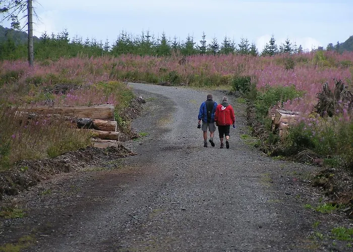 Готель типу 